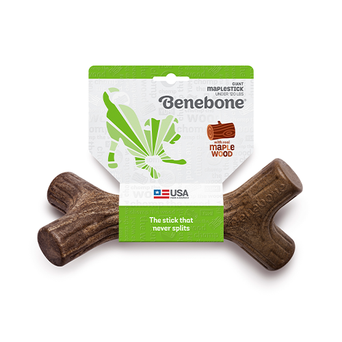 Jouet à mâcher pour Chiens bâton d'érable Benebone