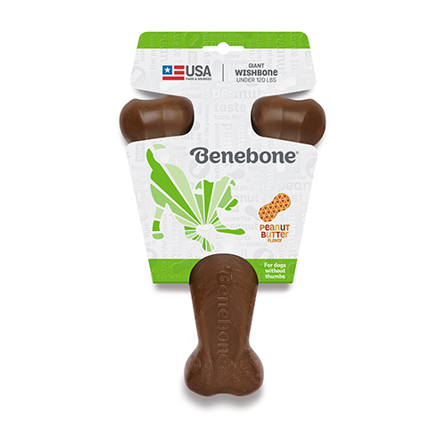 Jouet à mâcher pour Chiens Wishbone' beurre d'arachide Benebone