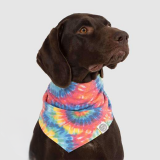 Bandana Pour Chien Canada Pooch