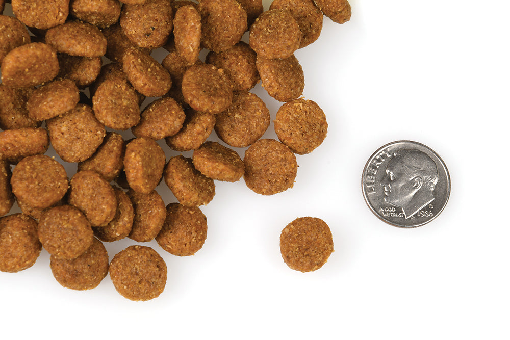 Nourriture Sèche Pour Chien *Porc et Pommes* - Fromm Four-Star