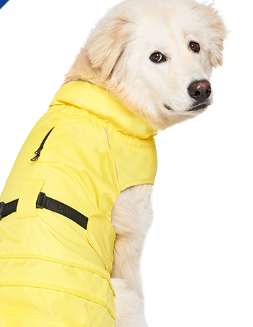 Imperméable Jaune Pour Chien Canada Pooch