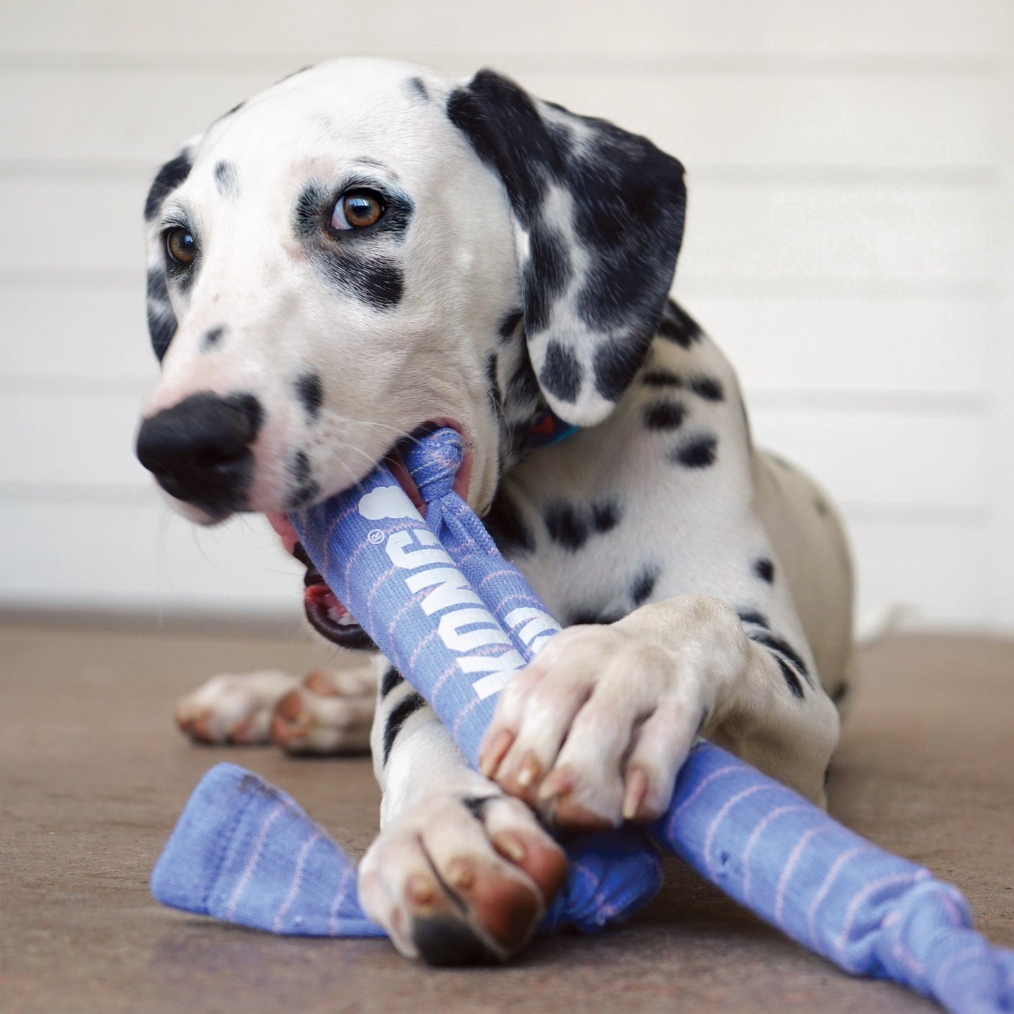 Jouet 'crunch' Corde Double -Chiots
