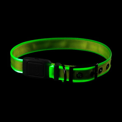 Nite Ize Light-Up Dog Collar