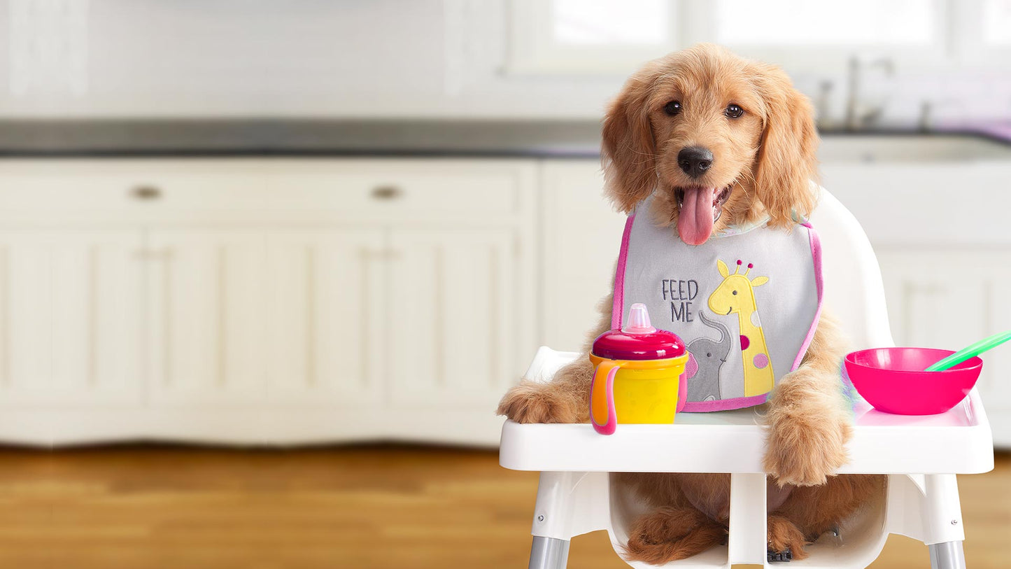 Nourriture Sèche Pour Chien Gold Chiot - Fromm