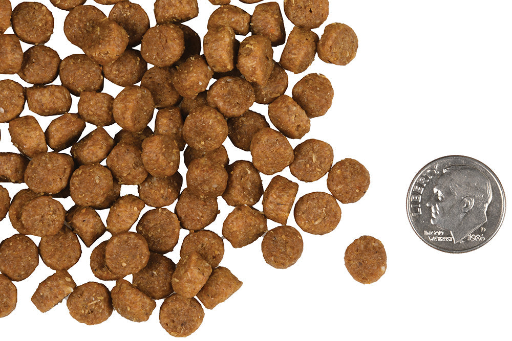 Nourriture Sèche Pour Chien Gold Chiot - Fromm