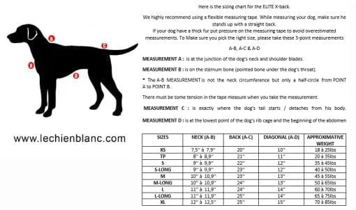 Harnais De Traction Élite Pour Chien Le Chien Blanc