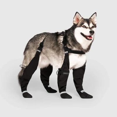 Bottes Pour Chien ''Suspender boot'' - Canada Pooch