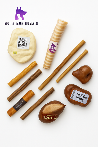 BOÎTE DE MASTICATION