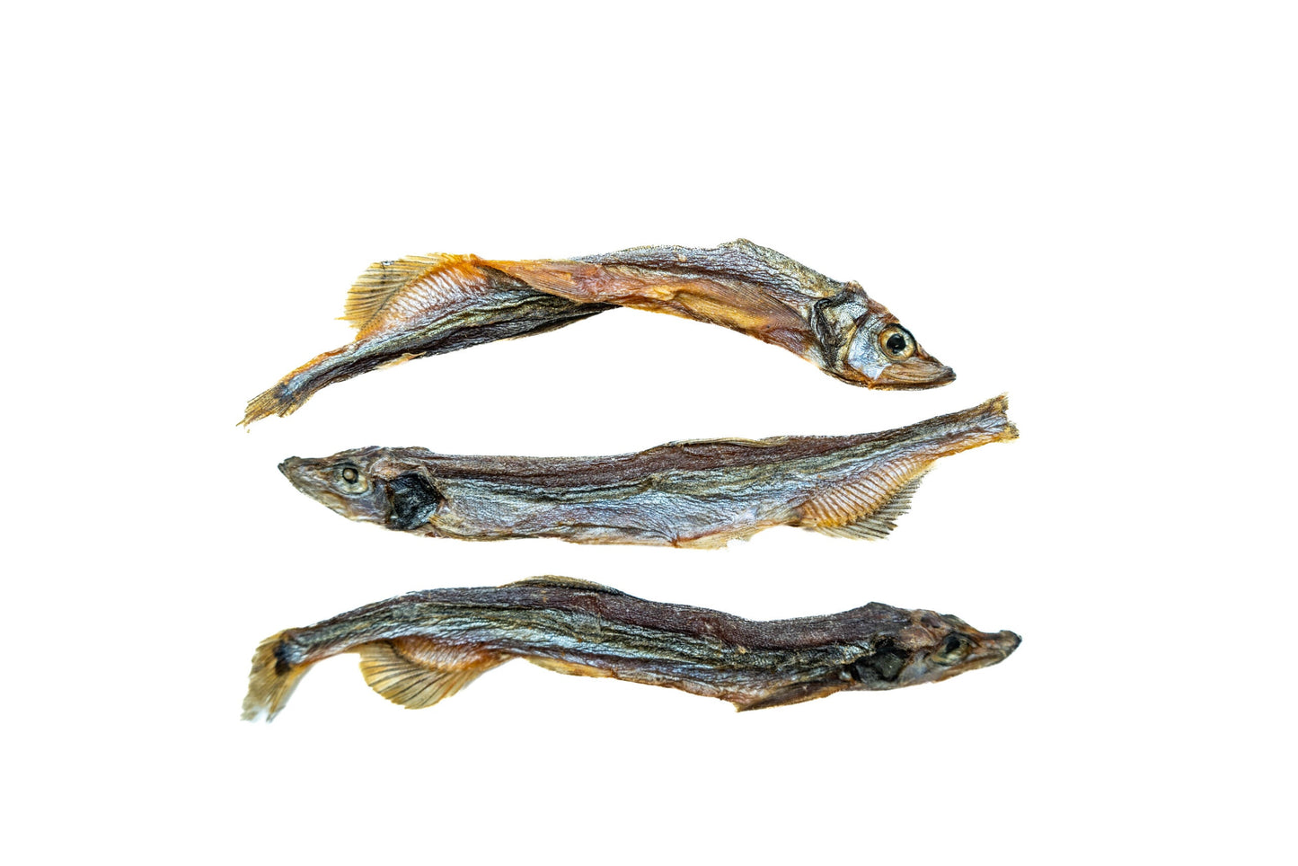 Gâterie Caplan 71G - 'Sydney's Harbour'