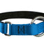 Collier pour chiens/ rembourré