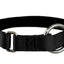 Collier pour chiens/ rembourré