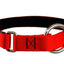 Collier pour chiens/ rembourré