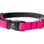 Collier Nahak pour petits chiens/ rembourré avec clip