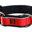 Collier pour chiens/ rembourré avec réflecteur