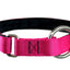 Collier pour chiens/ rembourré