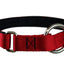 Collier pour chiens/ rembourré