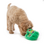 Jouet Chien Serpent Vert distributeur de gâteries 'Hide-a-tail'