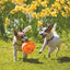 Jouet Kong Jumbler (balle)