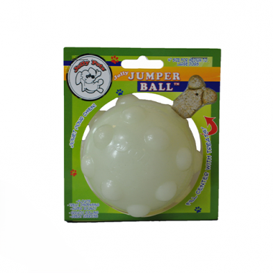 Fluorescent 4'' Fillable Bouncing Ball - Jolly Pets