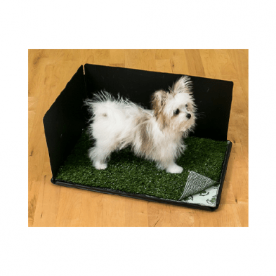 Pateau d'intérieur pour besoin chien - Moi & Mon Humain