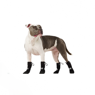 Bottes Pour Chien souples avec bande réfléchissante  - Canada Pooch