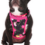Harnais 3 en 1 Canada Pooch Floral