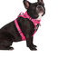 Harnais 3 en 1 Canada Pooch Floral