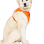 Harnais 3 en 1 Canada Pooch Orange