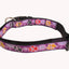 Collier Hunter Chien Mauve Pattes