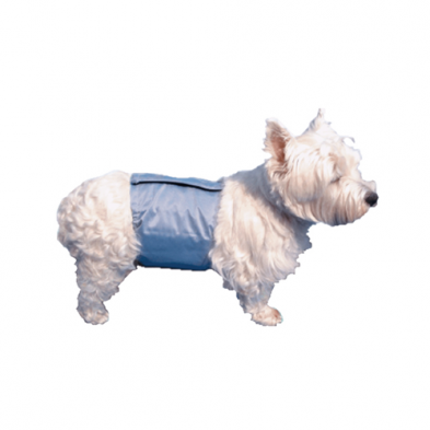Couche Pooch Pad Pour Mâle Medium