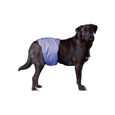 Couche Pooch Pad Pour Mâle Medium