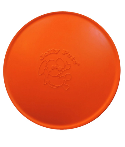 Frisbee pour chien