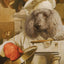 Nourriture Sèche Pour Chien *Canard à la Végé* - Fromm Four-Star