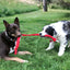 Jouet 'crunch' Corde Double Signature - Kong