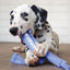 Jouet 'crunch' Corde Double -Chiots