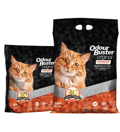 Litière Chat Odour Buster