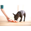 Jouet Interactif Casse-Tête - Dog Smart - Nina Ottosson