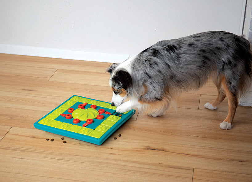 Jouet Interactif Casse-Tête - Multipuzzle - Nina Ottosson
