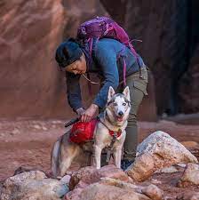 Sac À Dos Pour Chien Kurgo Baxter Rouge 50-110 Lbs