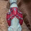 Sac À Dos Pour Chien Kurgo Baxter Rouge 50-110 Lbs