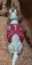 Sac À Dos Pour Chien Kurgo Baxter Rouge 50-110 Lbs