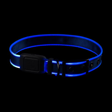 Nite Ize Light-Up Dog Collar