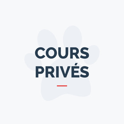 Cours privés - Base 1 (Avancé)