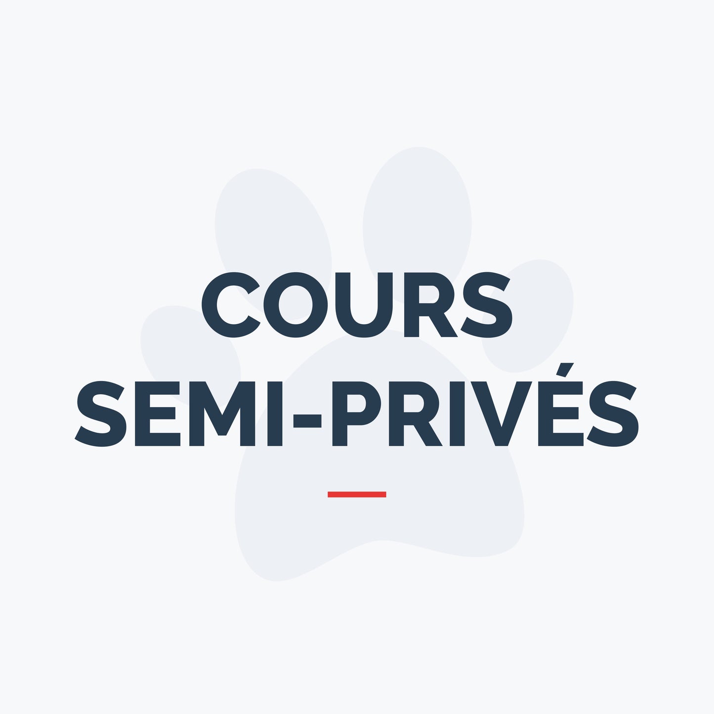Cours semi-privés - Base 1 (Avancé)