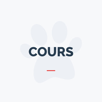 Cours - Agilité (Initiation)