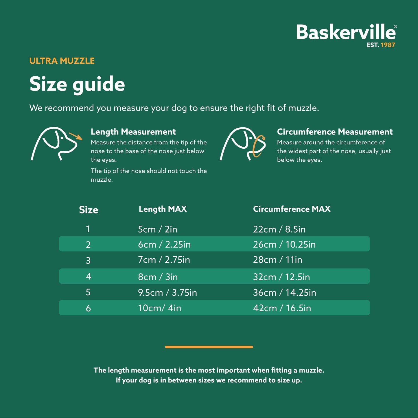 Muselière Ultra Baskerville