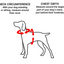 Harnais 3 en 1 Canada Pooch Orange